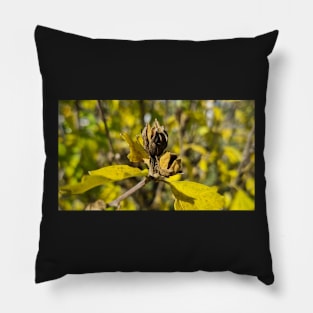 Autumn yellow leaves in sunny weather Pillow