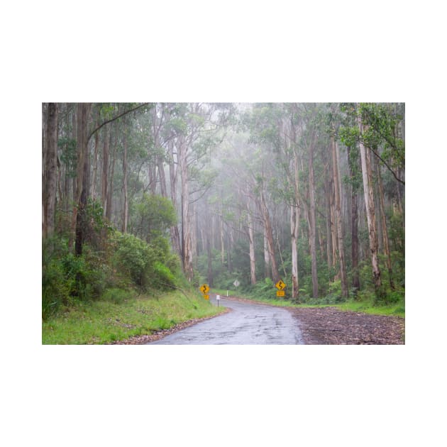 Foggy Great Ocean Road, Australia. by sma1050