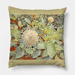 Button Bush Flower No.1 Pillow