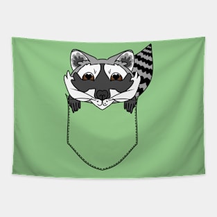 Cute Raccoon in the Pocket Tapestry