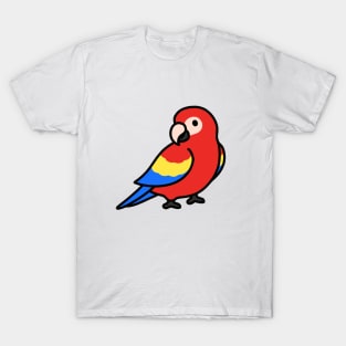 Bird Macaw Graphic tee design - Buy t-shirt designs