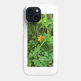 Tiger lily in the field Phone Case