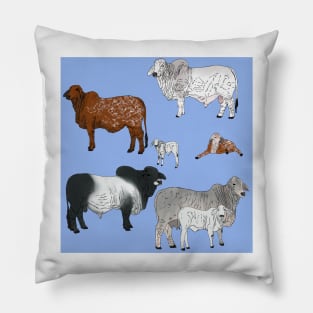 Brahman Cattle Blue Pillow