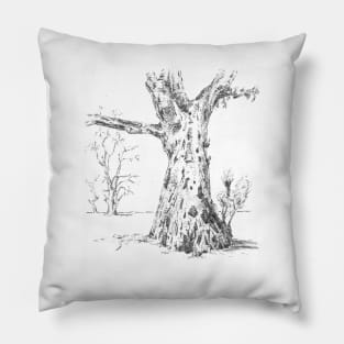 Gum Trees, Flinders Ranges Pillow