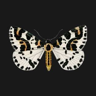 ZErene grossularis, Magpie moth T-Shirt