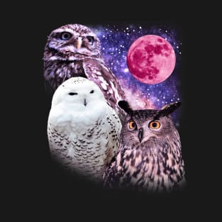 Three Owl Moon T-Shirt