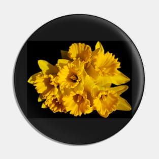 Bunch of yellow Daffodils Pin