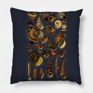 Antique Scientific Marine Biology Sea Shells Pillow