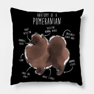 Chocolate Pomeranian Dog Anatomy Pillow