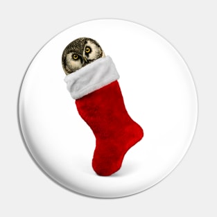 Owl in Christmas stocking | Funny Owl Pin