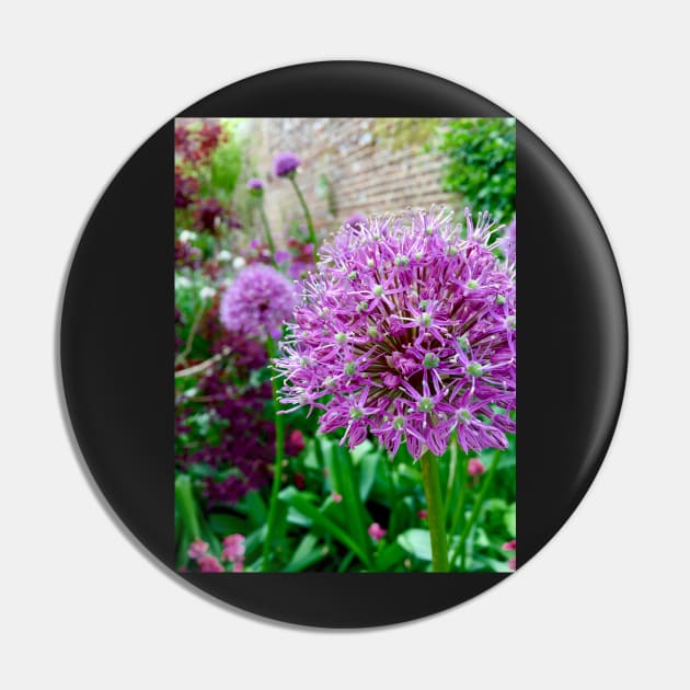 Allium Pin by Dpe1974