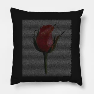 Beauty and the Beast Full Text with Rose Pillow