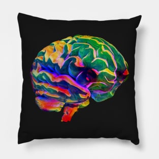 Colorful Glass Human Brain Pillow