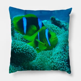 Clownfish Pillow