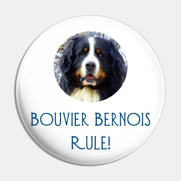 Bouvier Bernois Rule! Pin by Naves