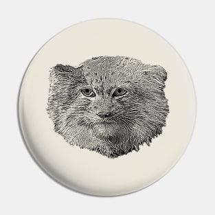 Manul-Pallas's cat Pin