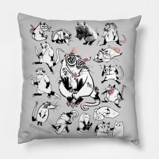 Ayopossum Pillow