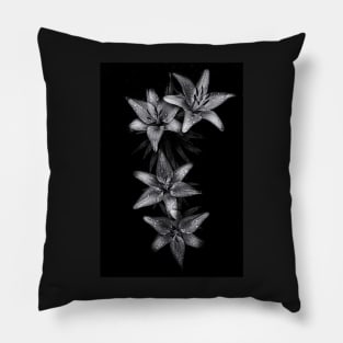 Backyard Flowers In Black And White 7 Pillow