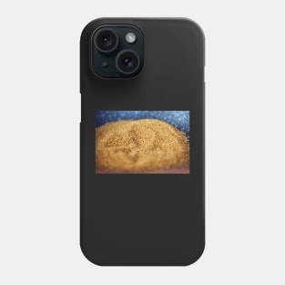 Brown sugar closeup Phone Case