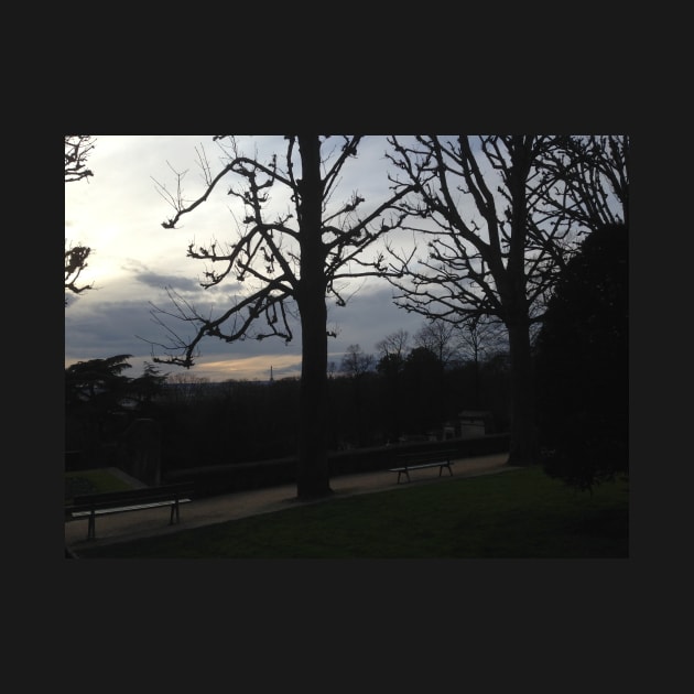 Paris from Pere Lachaise by ThatBird