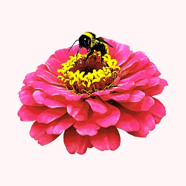 Zinnia and the Bee by SusanSavad