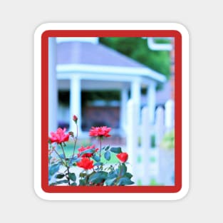 Red Roses in Front of a White Gazebo Magnet