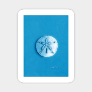 Sand Dollar Magnet