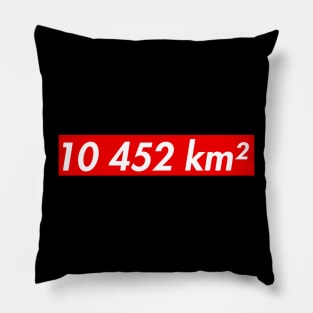 10452km lebanon Pillow