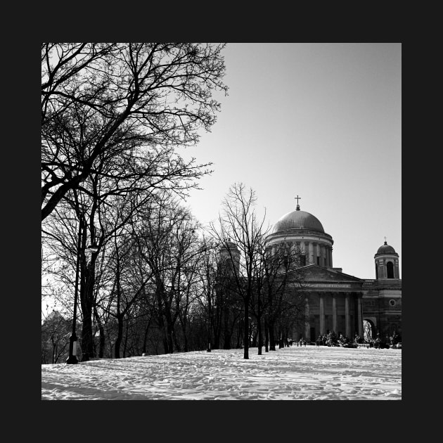 Basilica, Esztergom Hungary by rodneyj46