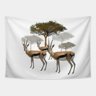 Thomson Gazelle - Antelope in Kenya / Africa Tapestry