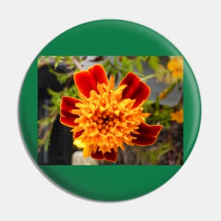 The French Marigold Pin