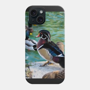 A Wood Duck At My Local Pond Phone Case