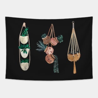 Hanging Planters Aesthetic For Plantlovers Tapestry