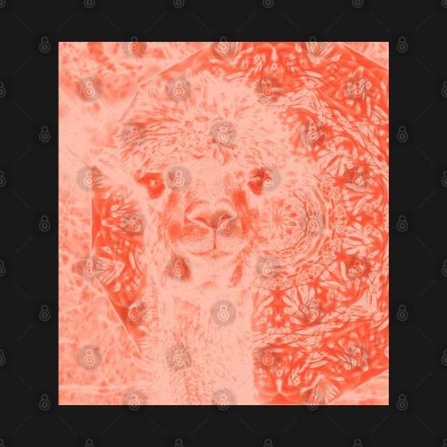 Ghostly alpaca and mandala in Fiesta Red by hereswendy