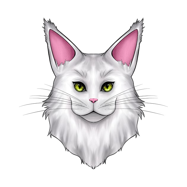 White Mainecoon Cat by Cat Club