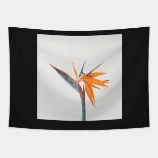 Bird of Paradise Tapestry