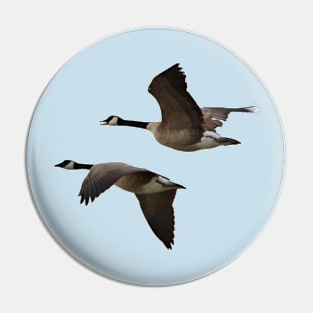 Canada Geese Pair in Flight Pin