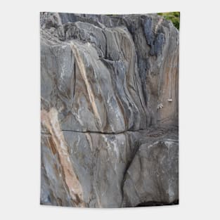 Marble Rock and Quartz for All Over Texture Tapestry