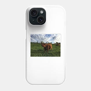 Scottish Highland Cattle Cow 2399 Phone Case