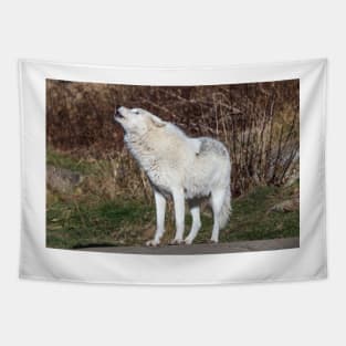 An Arctic Wolf Howls during the day Tapestry