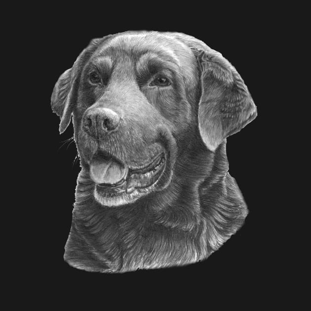 Labrador retriever - bw by doggyshop