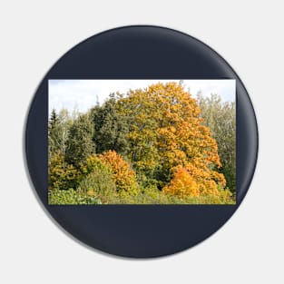 autumn Pin