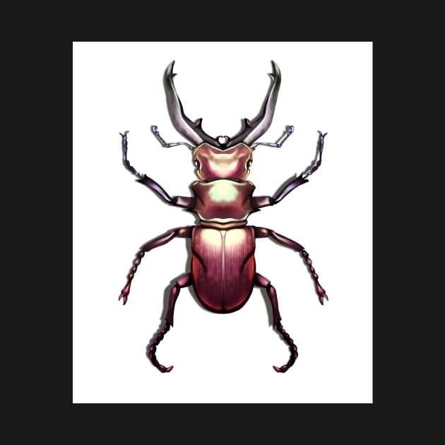 Stag Beetle Illustration by Cptninja