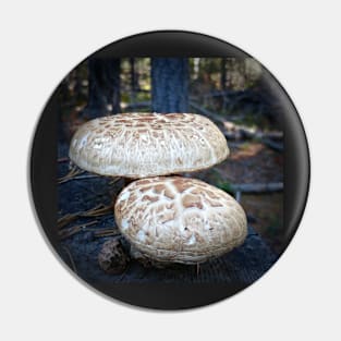 Mushrooms Pin