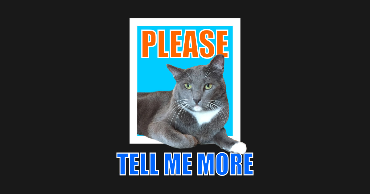 Please Tell Me More Meme Sarcastic Cat Tell Me More T Shirt