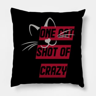 One Cat Short Of Crazy Pillow