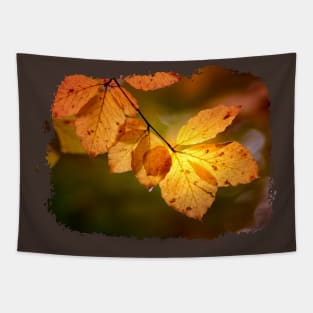 autumn leaves Tapestry