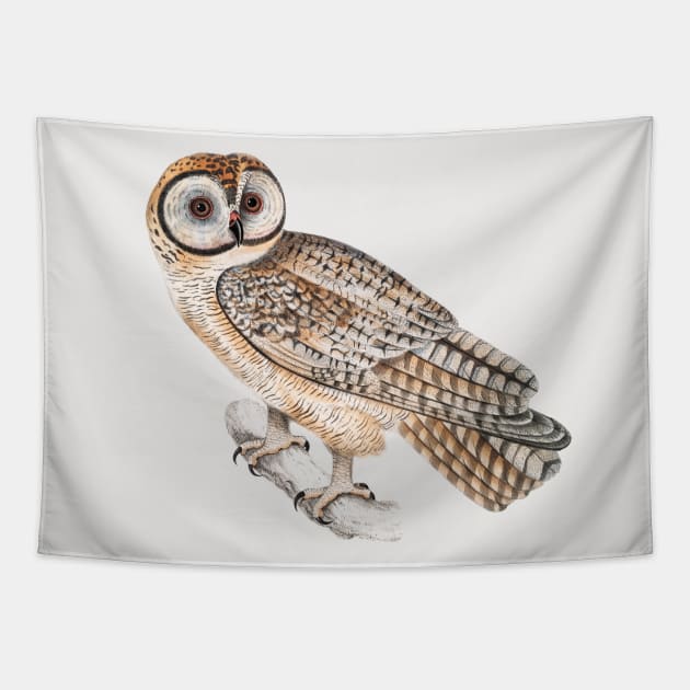 Owl Tapestry by CatyArte