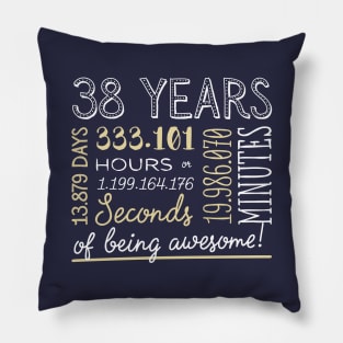 38th Birthday Gifts - 38 Years of being Awesome in Hours & Seconds Pillow