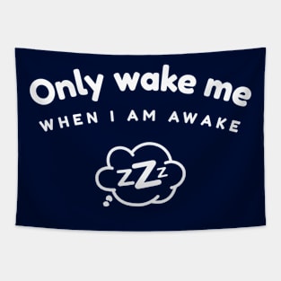 Only Wake Me When I Am Awake Zzz design Tapestry